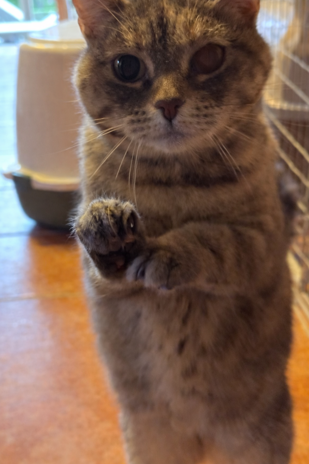 00B510BF 98E8 48E9 8F89 748A3CC152BB