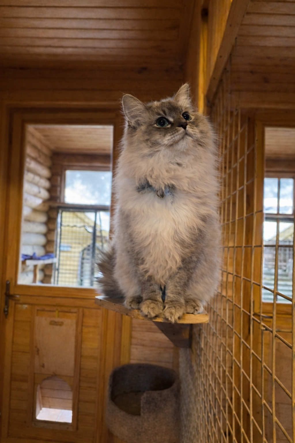 0313A921 4F36 426E A3B6 7C47D3FA202A