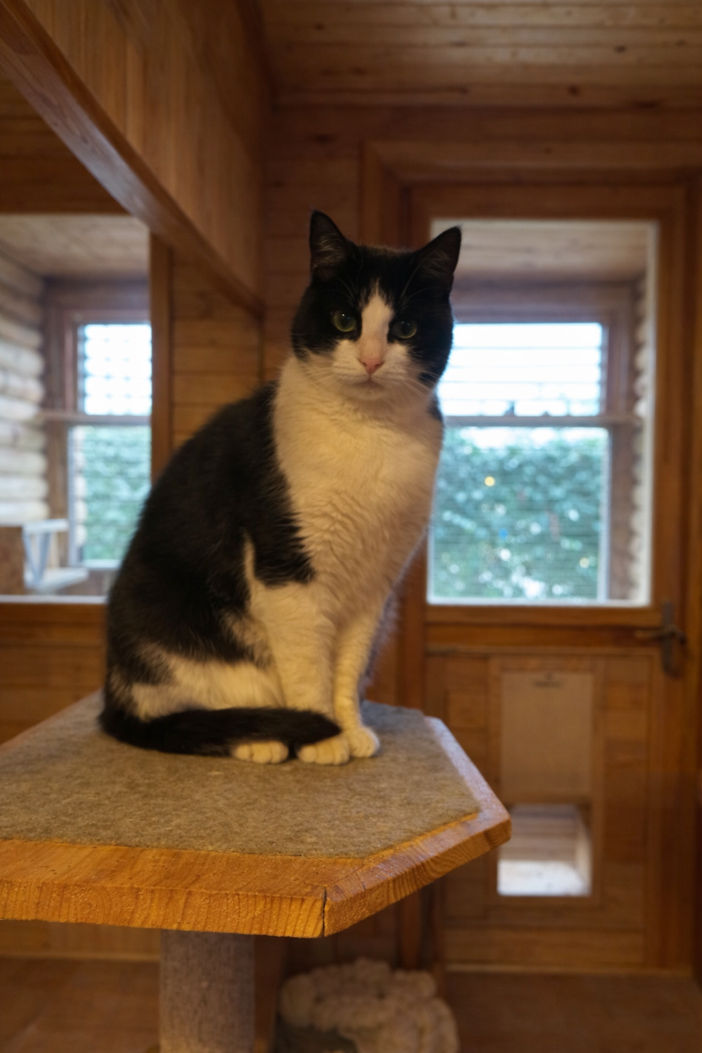 17480D81 900A 4D92 B88F FC0AA2647C70