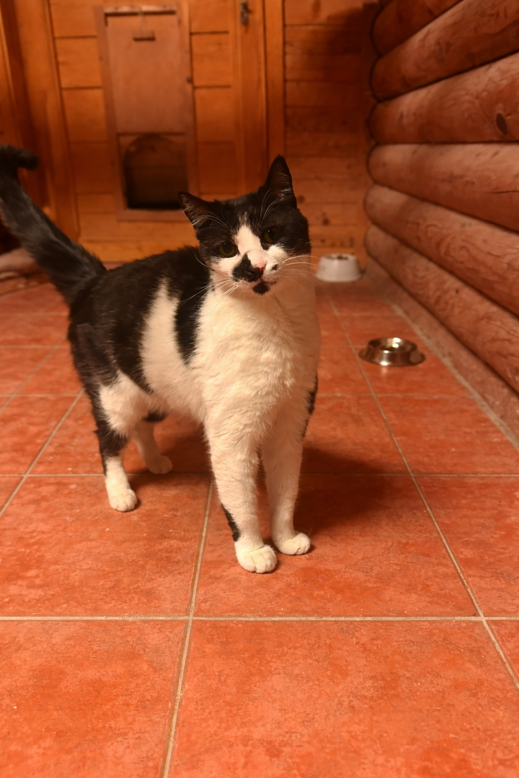 231C5935 031F 49D0 B63E E8C933A64BE9