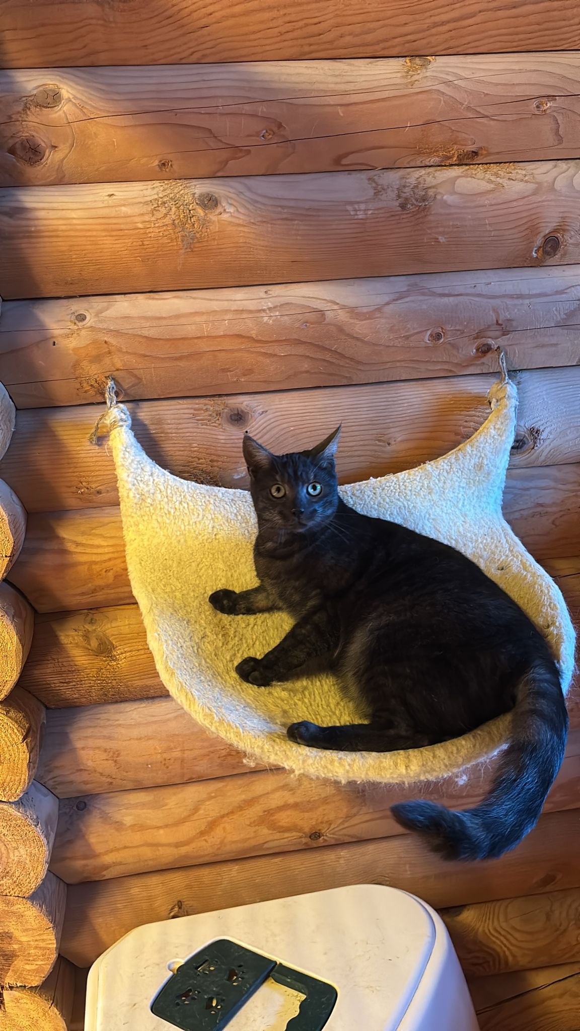 2e7f08c3 ec67 46f7 9c0a 634ff74f3d3f