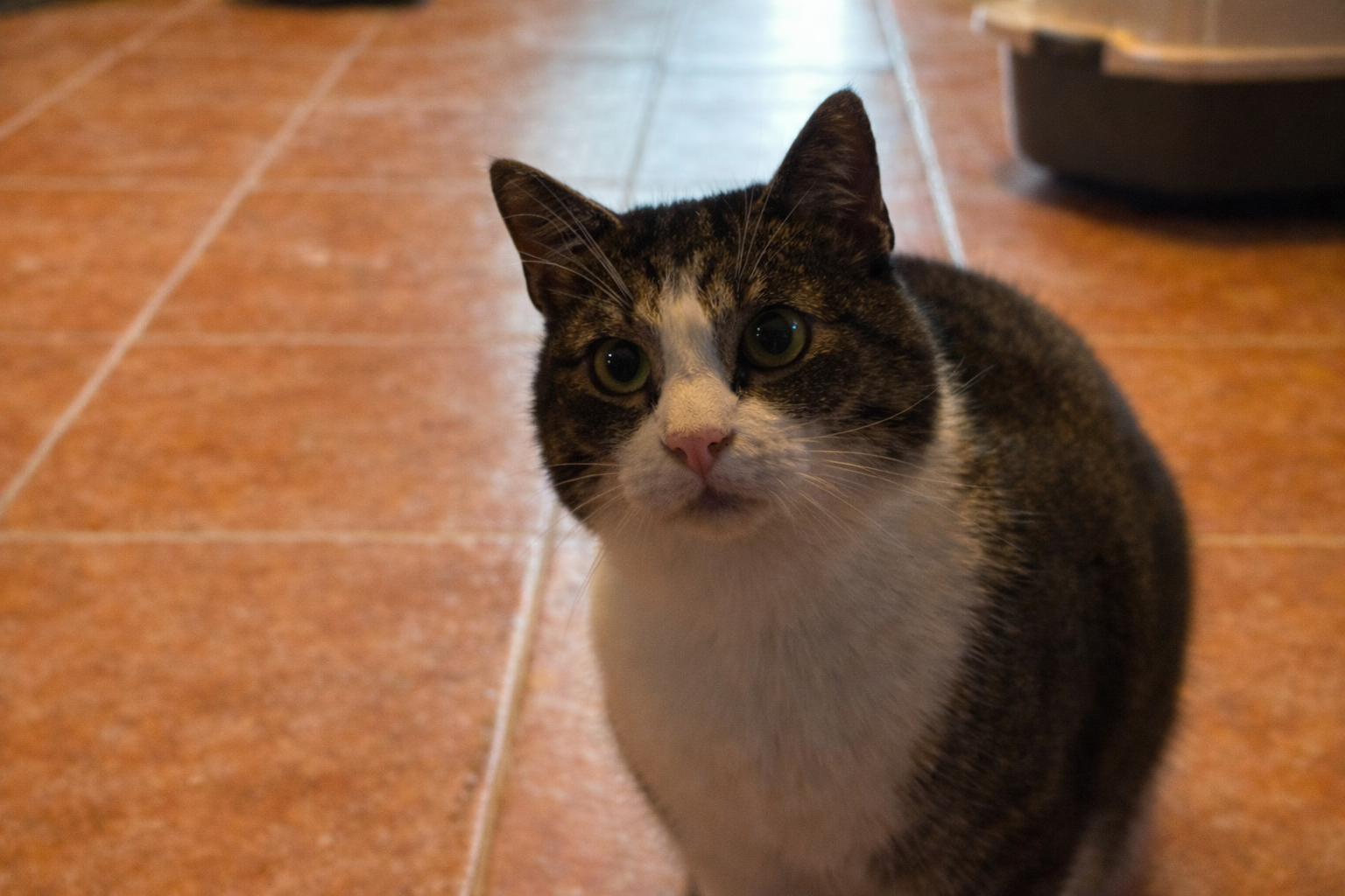 34451B96 64D1 4112 8948 B641A512CE68