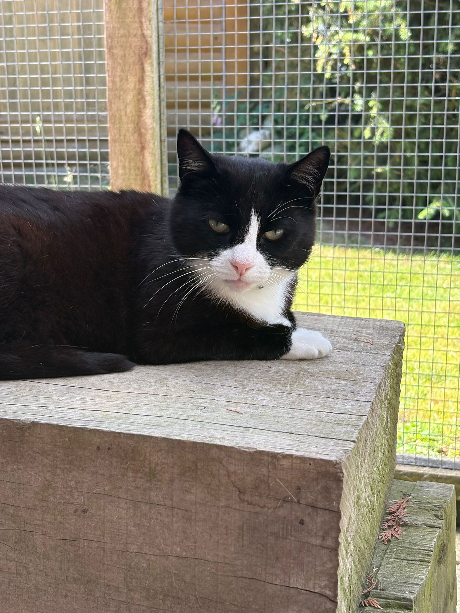 376444f6 d2f4 425b b129 d8f7ce43869b