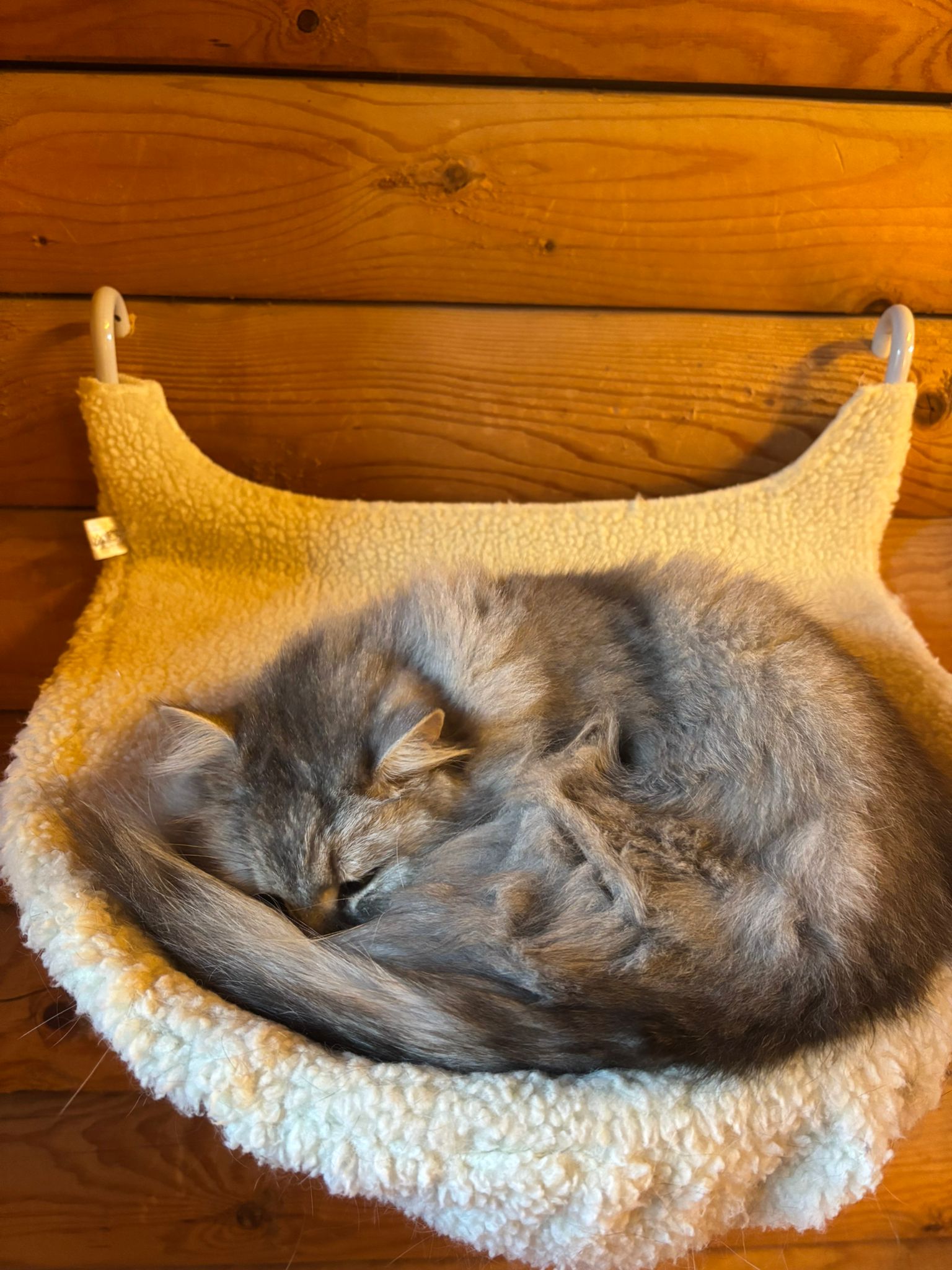 3a4a2bc8 2a7f 4775 a425 8ba7474dd4dc