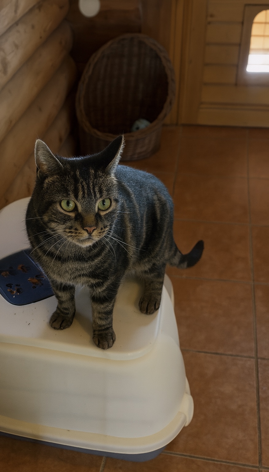 452C2A34 AE26 4A74 A9CE 1BAD0E02F29E