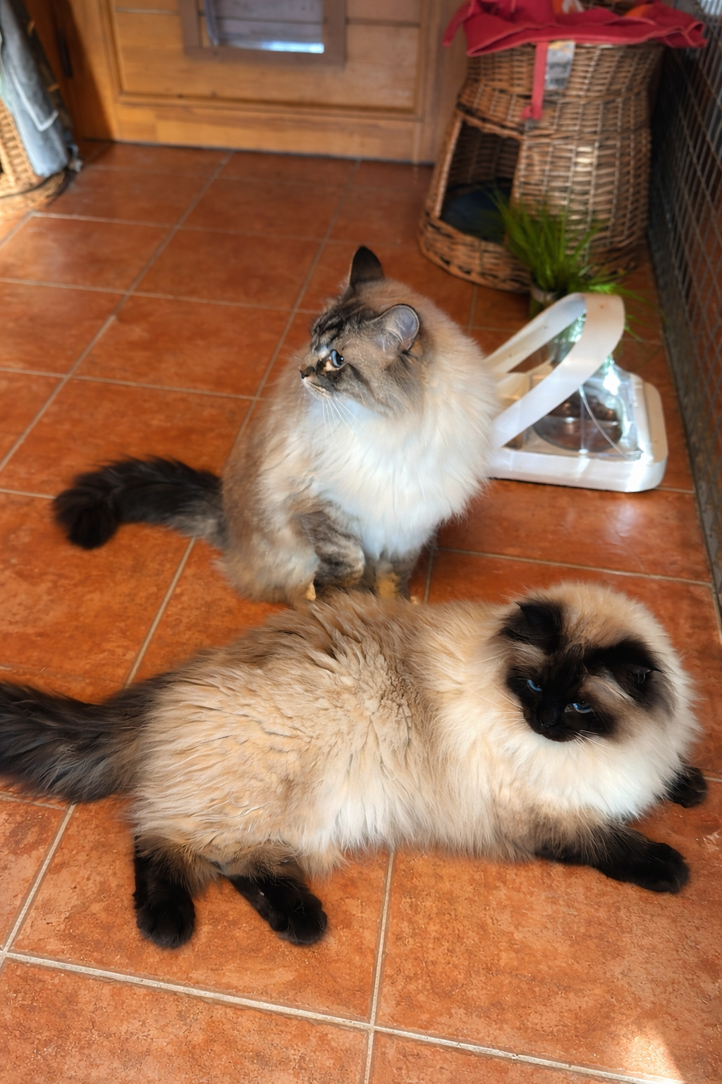 642A1A89 42C7 4D25 AE42 ECE889DD68CF