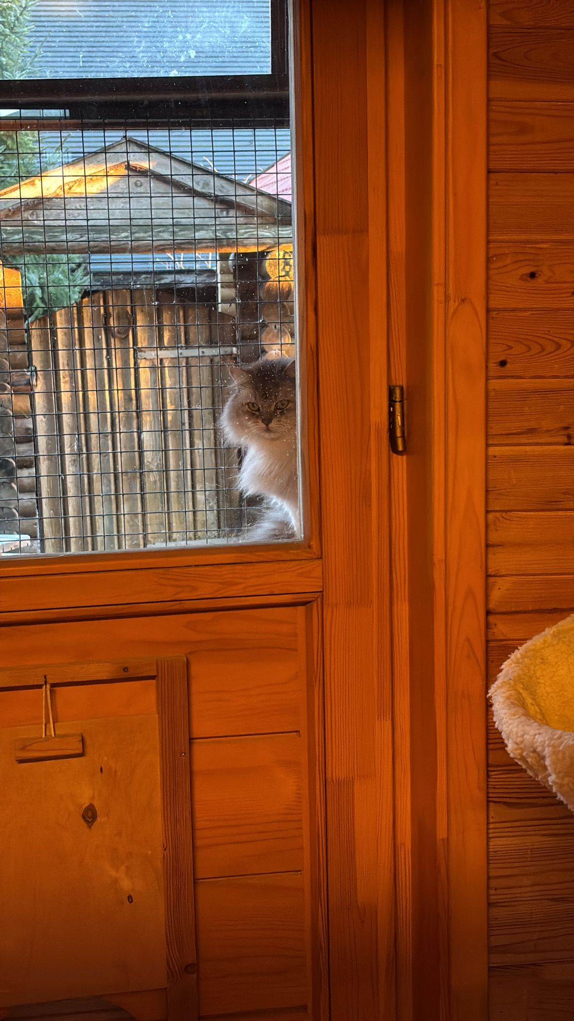 6443c850 da33 4760 b7be 893c375f7c44