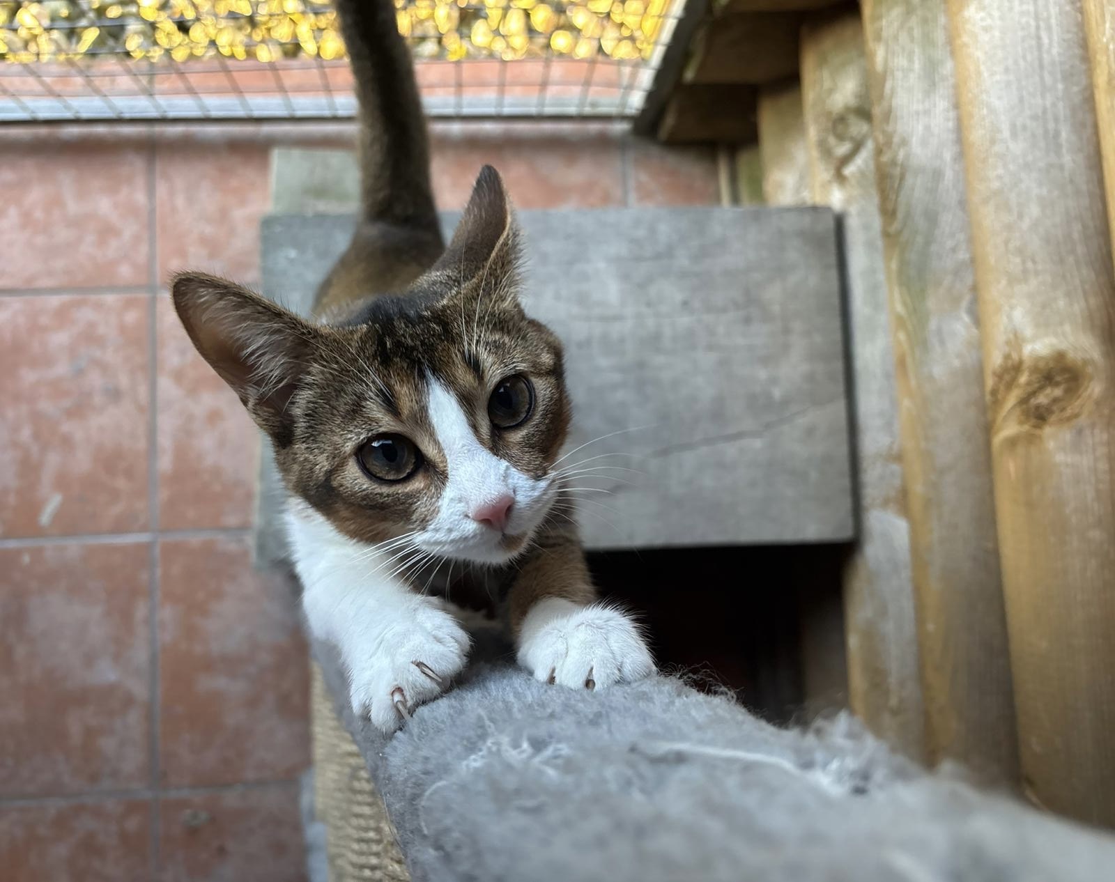 66c6edfb 44de 4a27 bd54 dc2f12ee0f0a