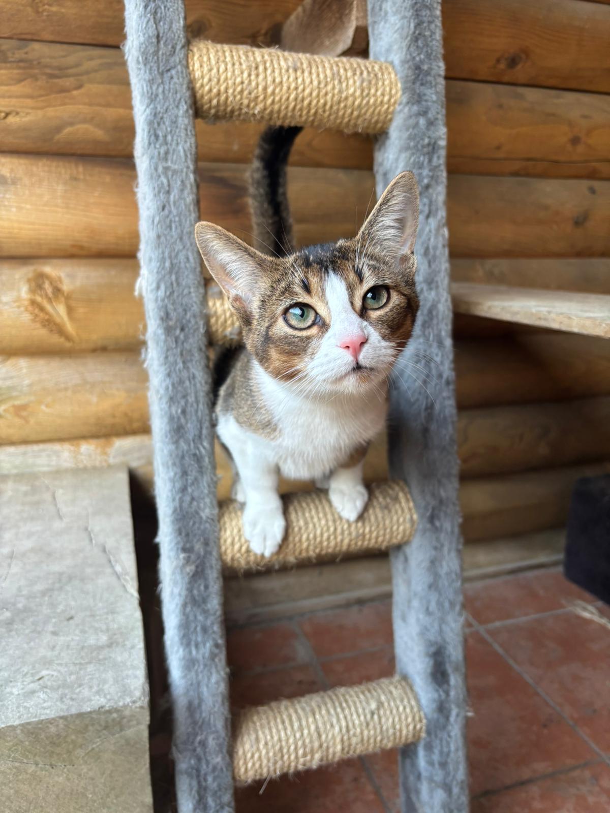 6731a89e 0642 4fd4 bdfb 1084f25b6866