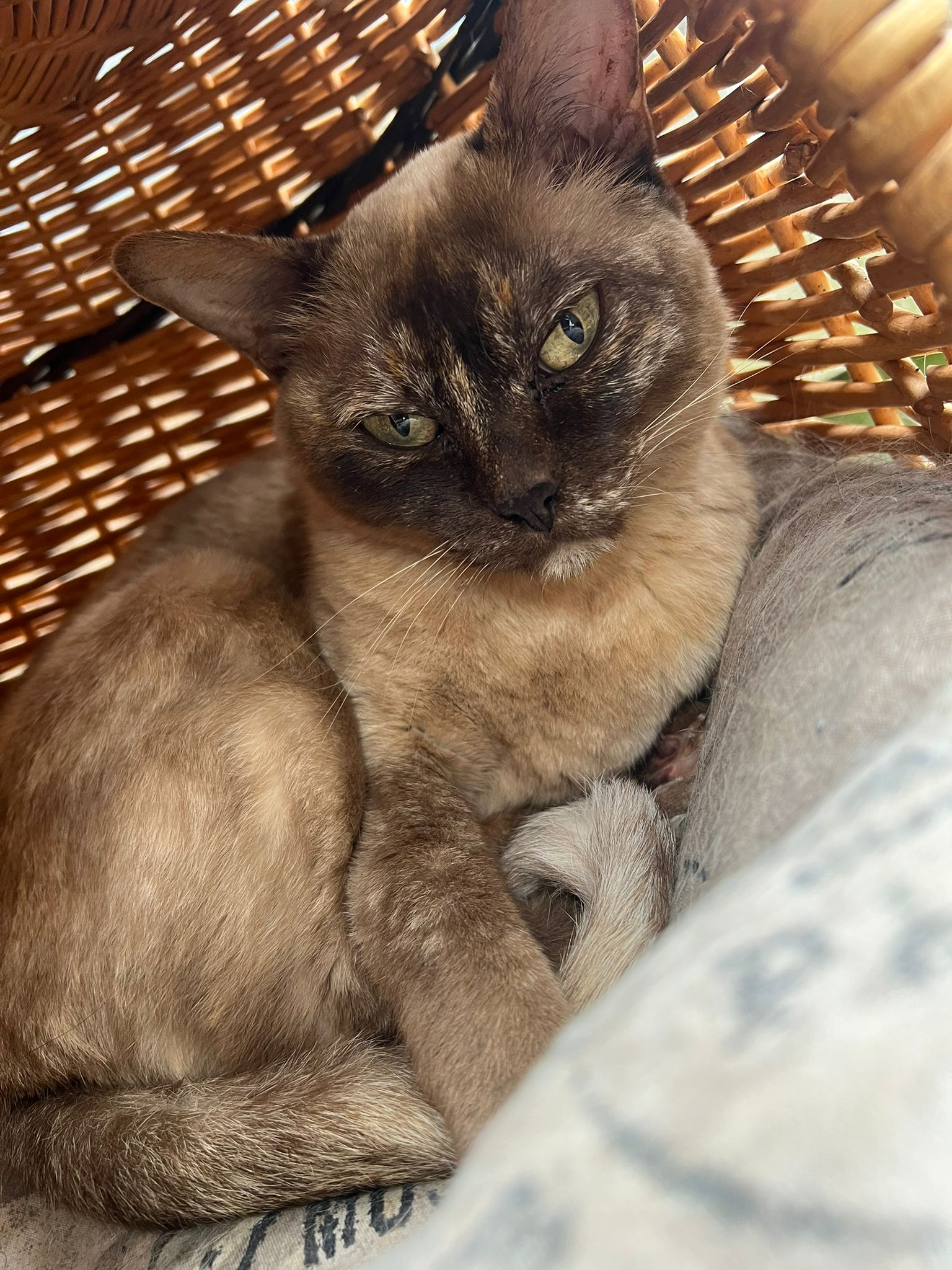 6afca3d8 3170 4421 8480 93ca7657e50a