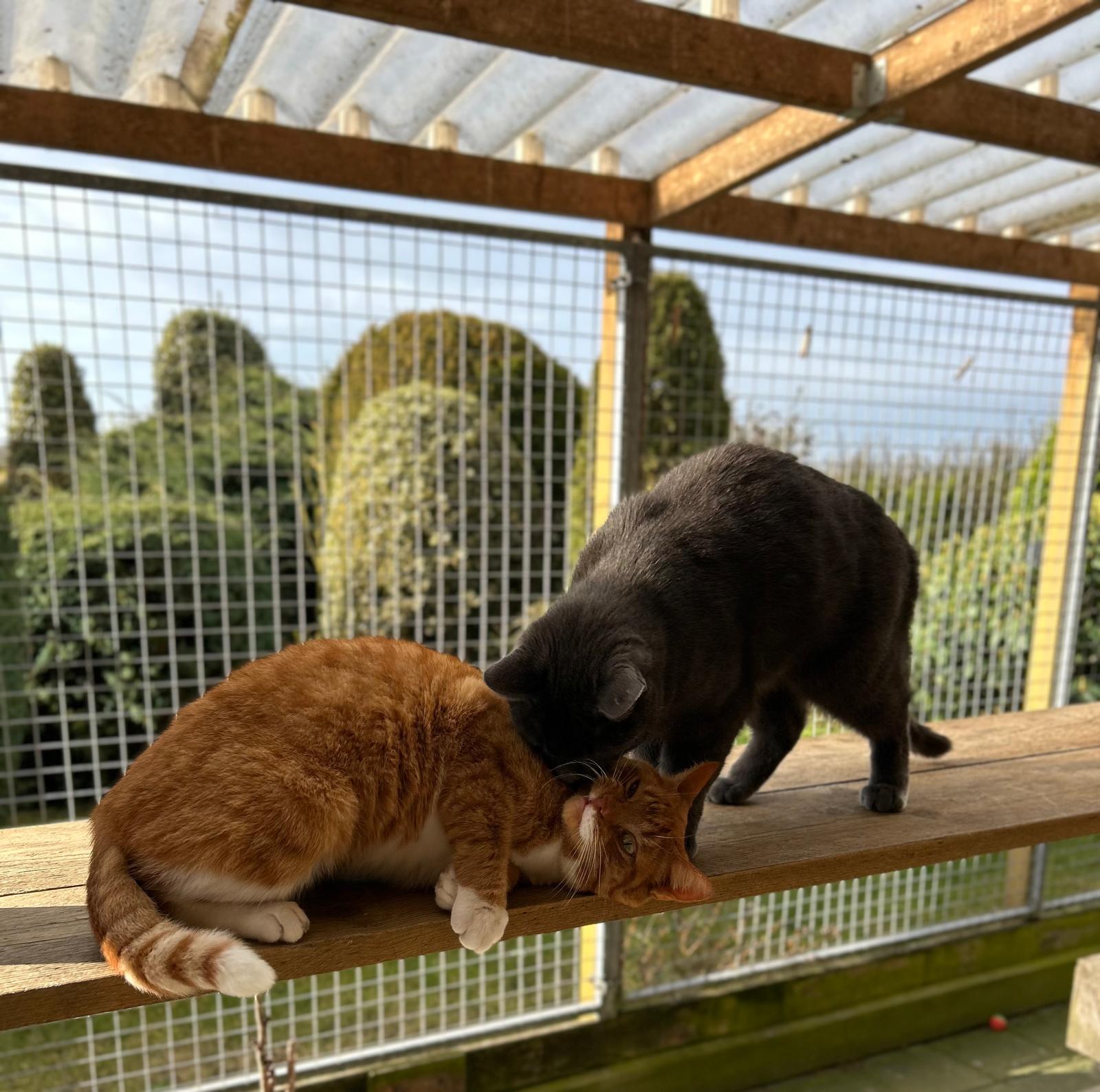 8c843716 805d 4167 982c a02cb42d594a