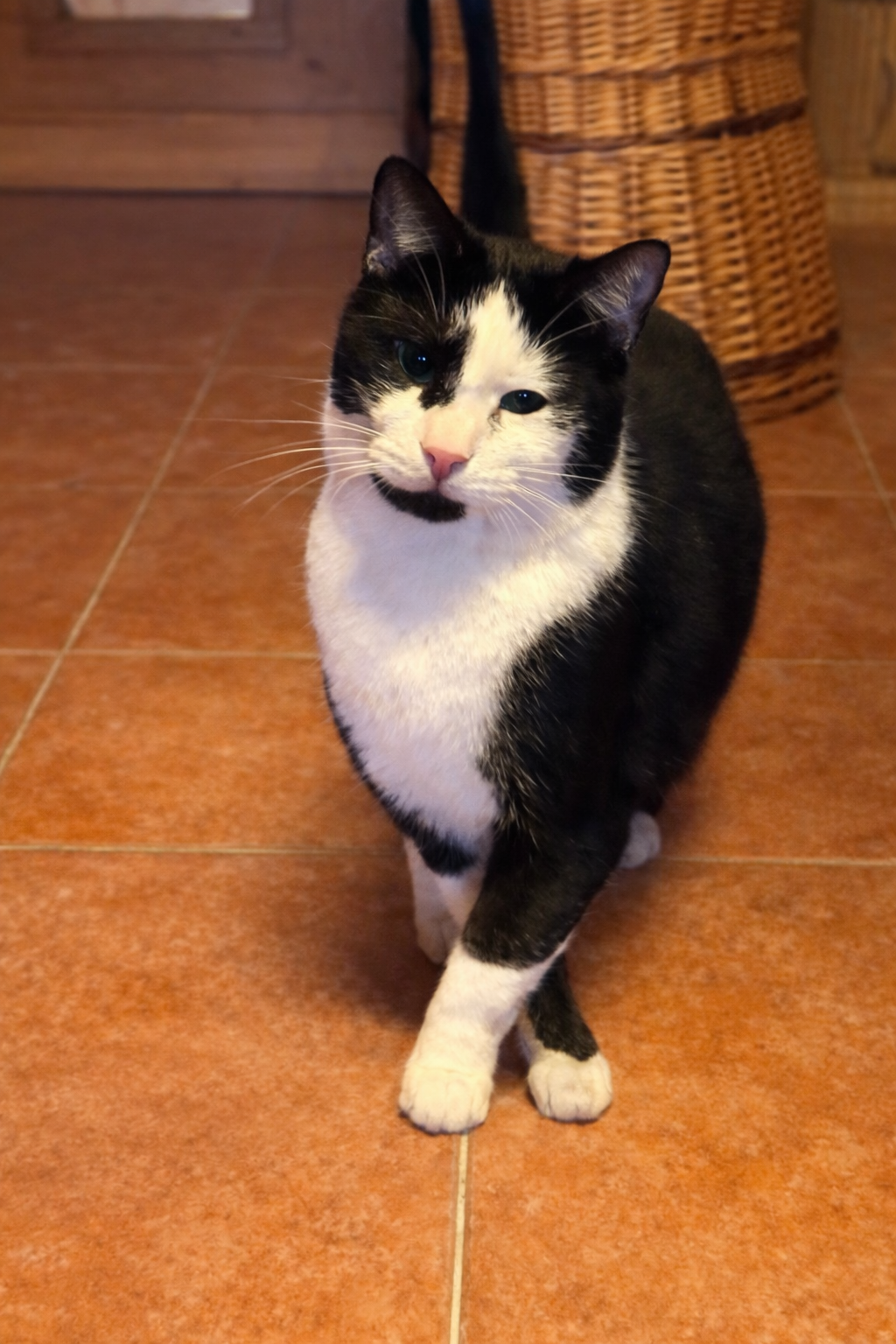 906C2AE4 4DE8 461E B727 D36A382822EB