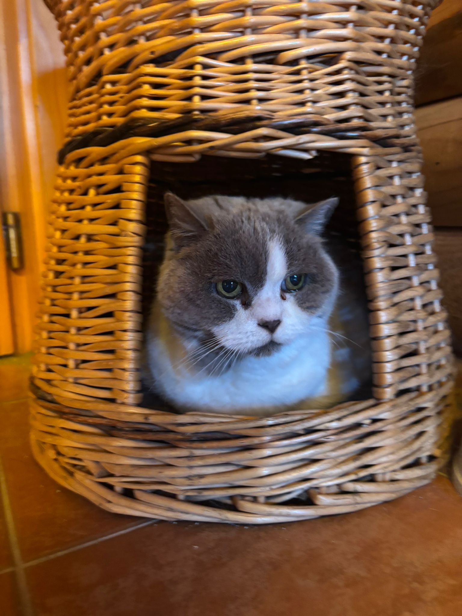 91187f77 015a 40e6 8751 298bd4443c30