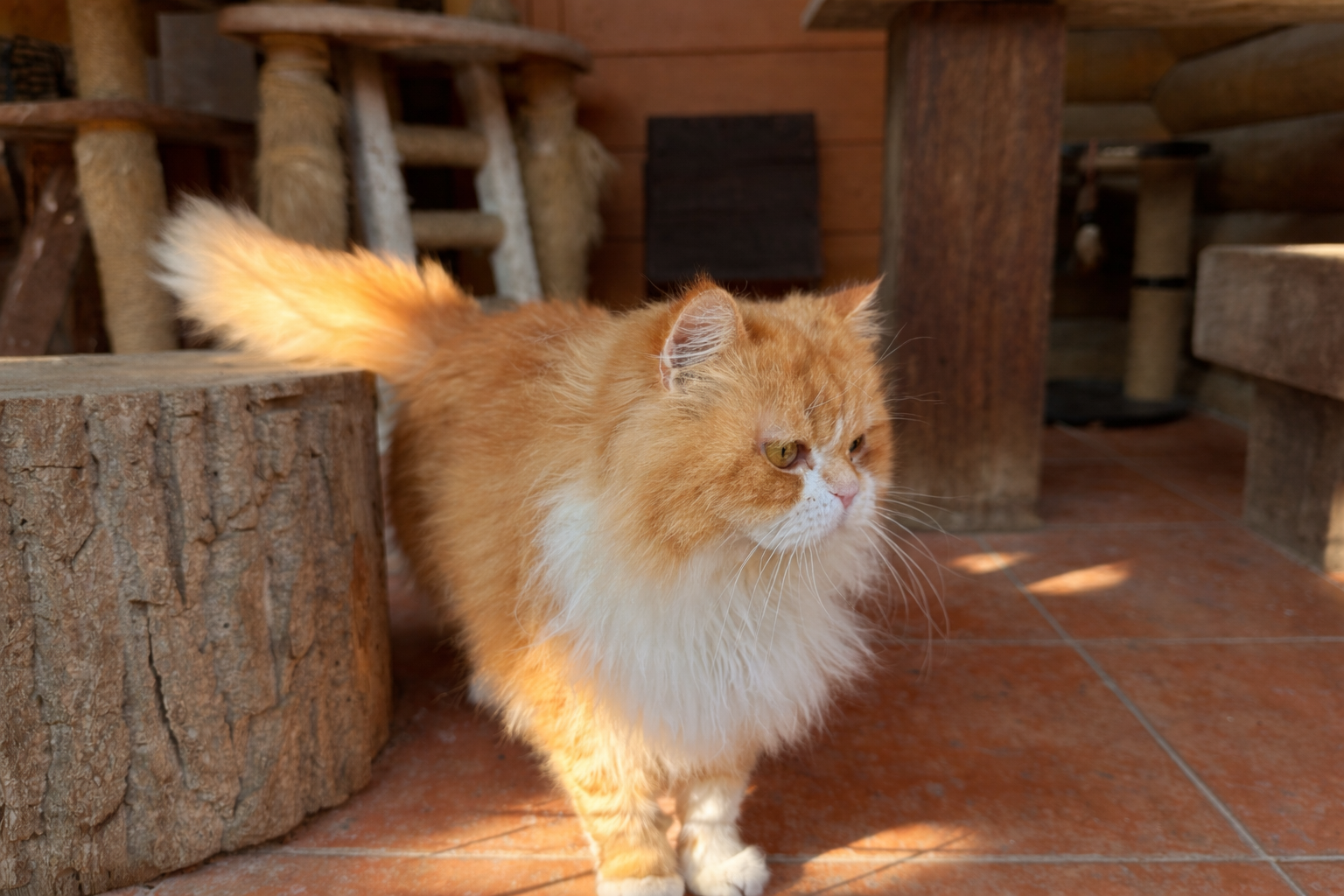 9E9BB2C8 DACB 4912 8486 D0A1236496BE