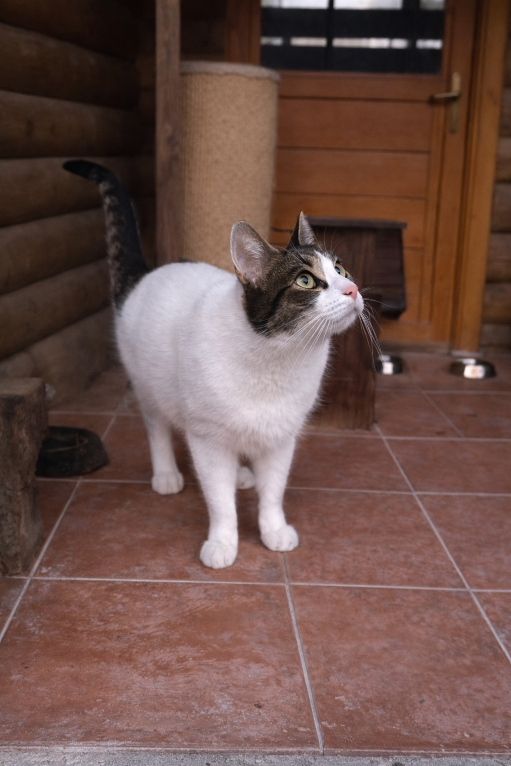 9F3A5AC6 03EF 4A28 9300 6097C68E9328