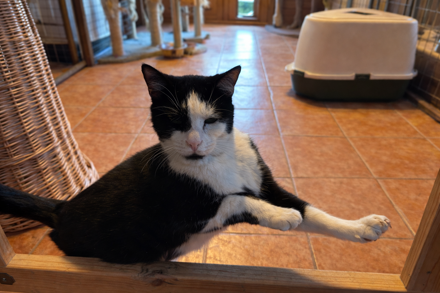 AE90FD63 508B 4ACB 8044 24B9382CE8E0