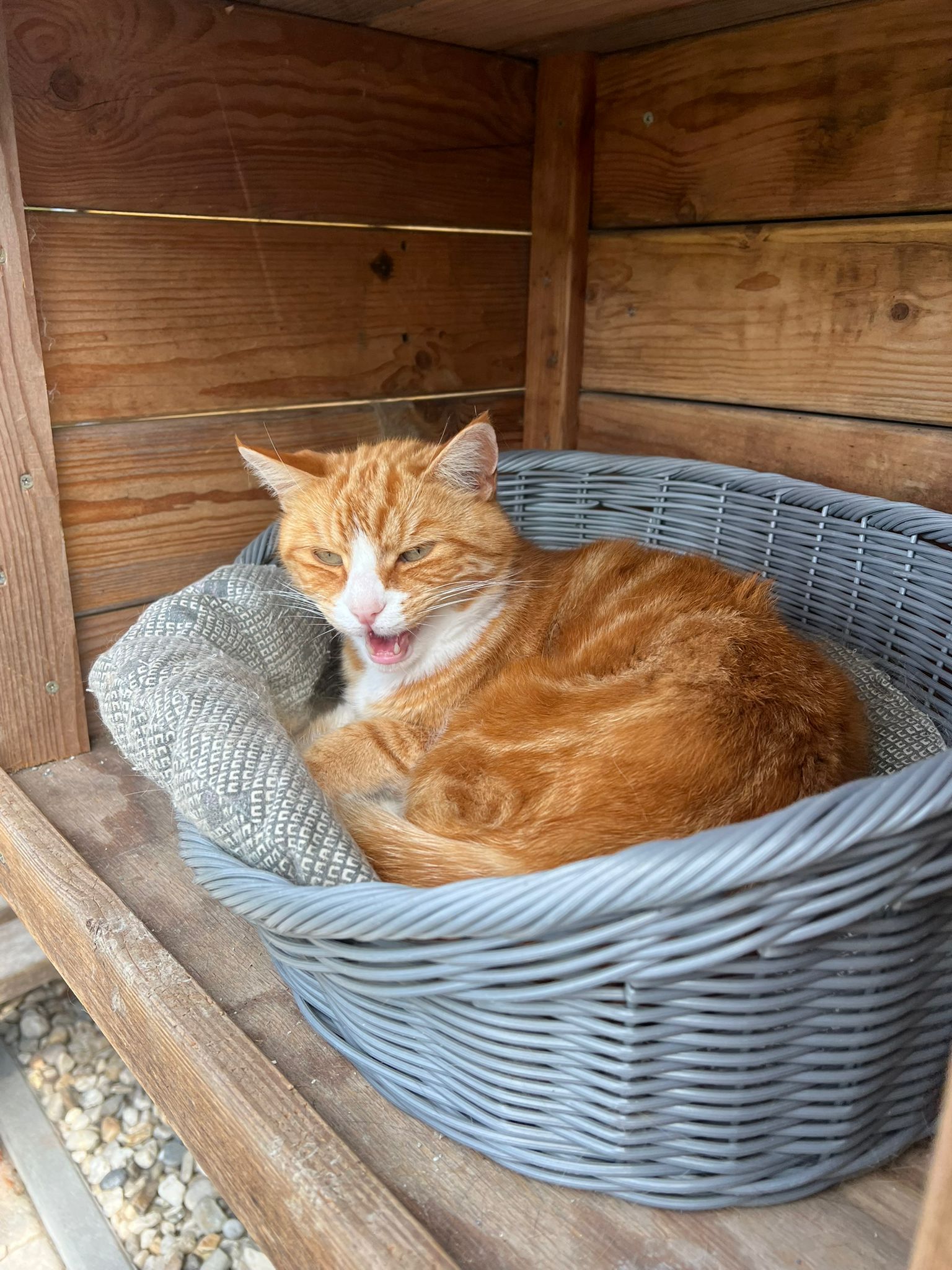 c47db94e e1f5 4091 aadb 6b9878f1eb58