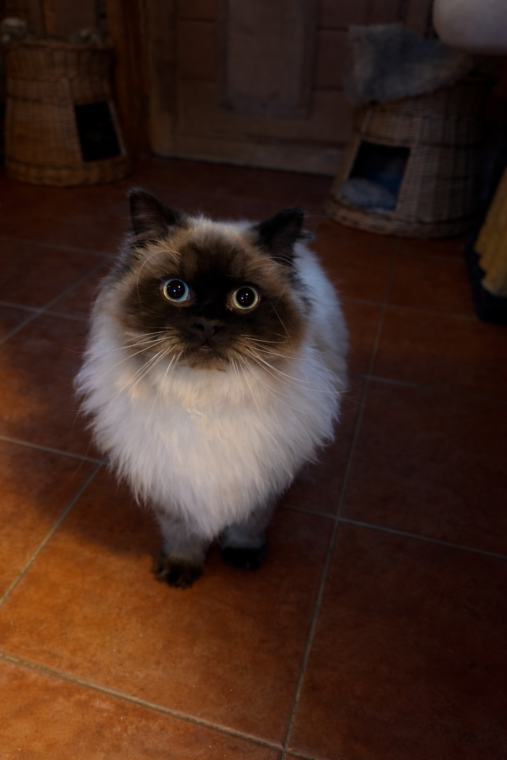 D36E9244 8E31 490E A3FD 208F99955348