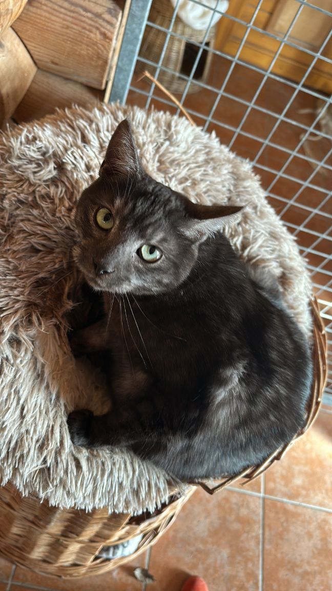 E6C7A208 E72C 4246 ABF6 8C998B8968F1