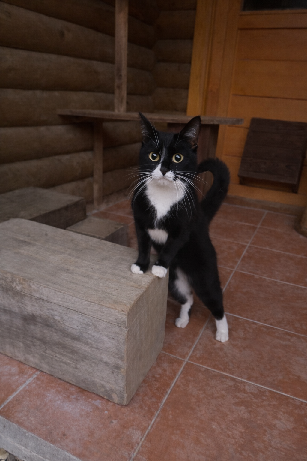 E9FD8284 065D 42F7 8FB1 B29A4574CC12