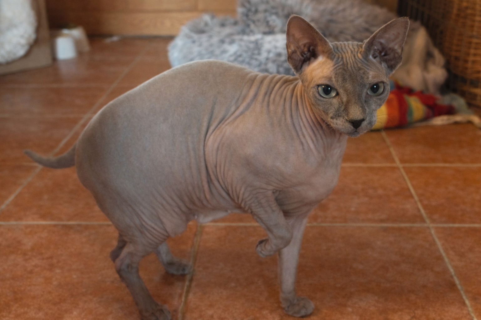 EDBA44BD 0AB0 407B BBE2 A3499CEC32CB