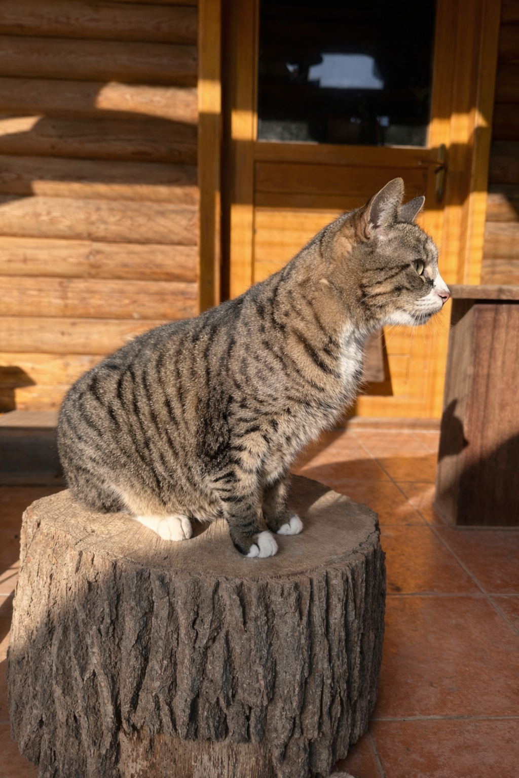 FF9B5D9A 3CAA 4AF2 8A76 16A53E6AE841